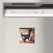 AIMANT FLOSSIE (In Situ (Lave-vaisselle))