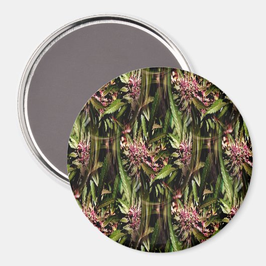 Aimant Flower Grape Ape..... (Recto/Verso)