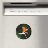 Aimant Flower tropical orange paradise (In Situ (Lave-vaisselle))