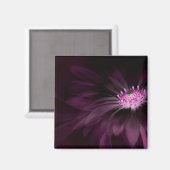 Aimant Flowers (homonymie) | Daisy (Recto/Verso)