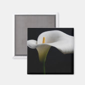 Aimant Flowers (homonymie) | White Calla Lily (Recto/Verso)