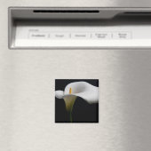 Aimant Flowers (homonymie) | White Calla Lily (In Situ (Lave-vaisselle))