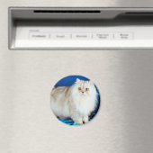 Aimant Fluffy Cat (In Situ (Lave-vaisselle))