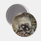 Aimant Fluffy Cat (Recto/Verso)