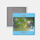 Aimant Flux d'aimants (Recto/Verso)