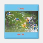 Aimant Flux d'aimants (Devant)