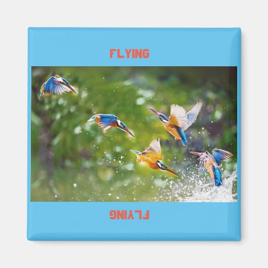 Aimant Flux d'aimants (Devant)