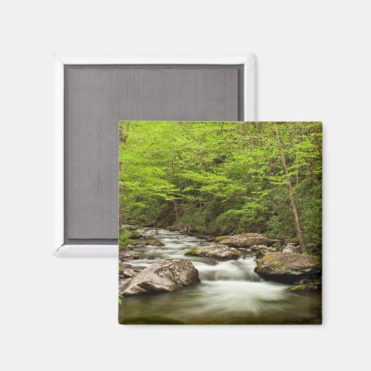 Aimant Flux De Fourche Droite À Travers La Forêt (Recto/Verso)