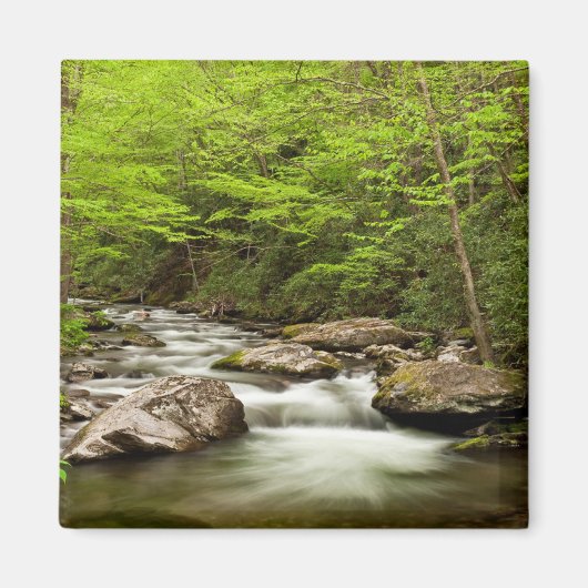 Aimant Flux De Fourche Droite À Travers La Forêt (Devant)
