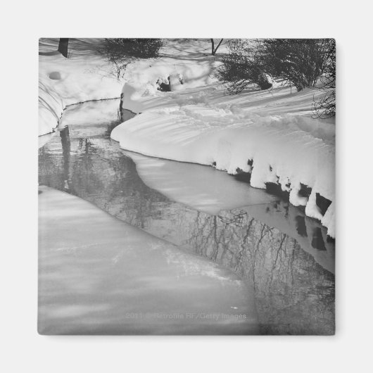 Aimant Flux en hiver B&W (Devant)