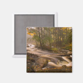 Aimant Flux Flux Sentier Appalachien | Vermont (Recto/Verso)