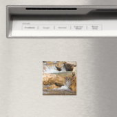 Aimant Flux orageux au printemps (In Situ (Lave-vaisselle))