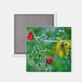 Aimant Fly-By dans le jardin (Recto/Verso)