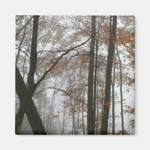 Aimant Foggy Fall en Pennsylvanie Automne Nature