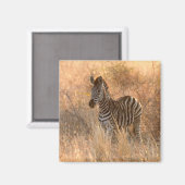 Aimant Foie zébrée au lever du jour photo (Recto/Verso)