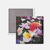 Aimant Folithe d'automne (Recto/Verso)
