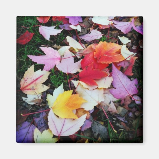 Aimant Folithe d'automne (Devant)