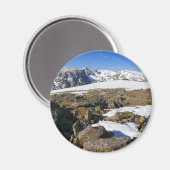 Aimant Fonte de neige dans les montagnes Rocheuses (Recto/Verso)