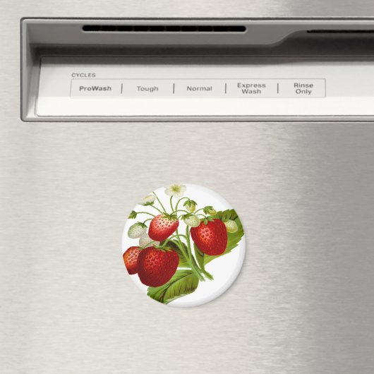 Aimant Food fruit leaf leafy (In Situ (Lave-vaisselle))