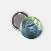 Aimant Force inébranlable Silverback Gorilla Kito (Recto/Verso)