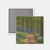 Aimant Forest | Bluebell Forest en Belgique (Recto/Verso)