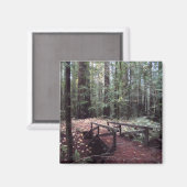 Aimant Forest Bridge - Humboldt Redwoods State Park (Recto/Verso)