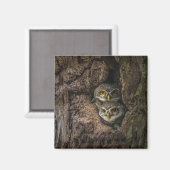 Aimant Forest | Deux Owls Looking (Recto/Verso)