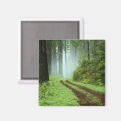 Aimant Forêt (Recto/Verso)