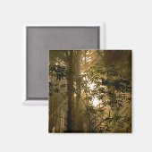 Aimant Forêt à feuillage persistant | Côte de l'Oregon (Recto/Verso)