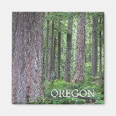 Aimant Forêt À feuillage persistant de l'Oregon (Devant)