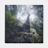 Aimant Forêt | Anaga Parc rural Îles Canaries (Devant)