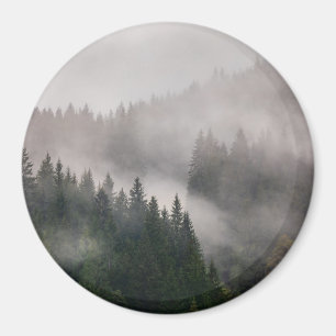 Aimant Forêt brumeuse dans les montagnes