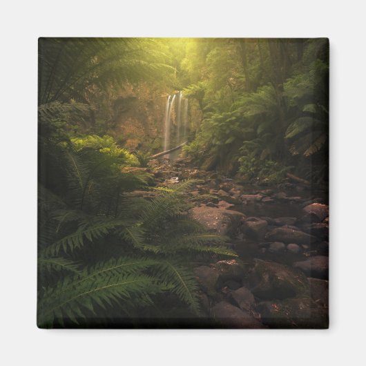 Aimant Forêt | Cascade Sunlight Highlights (Devant)