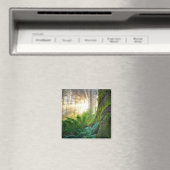 Aimant Forêt côtière du Pacifique, Oregon (In Situ (Lave-vaisselle))