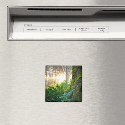 Aimant Forêt côtière du Pacifique, Oregon (In Situ (Lave-vaisselle))