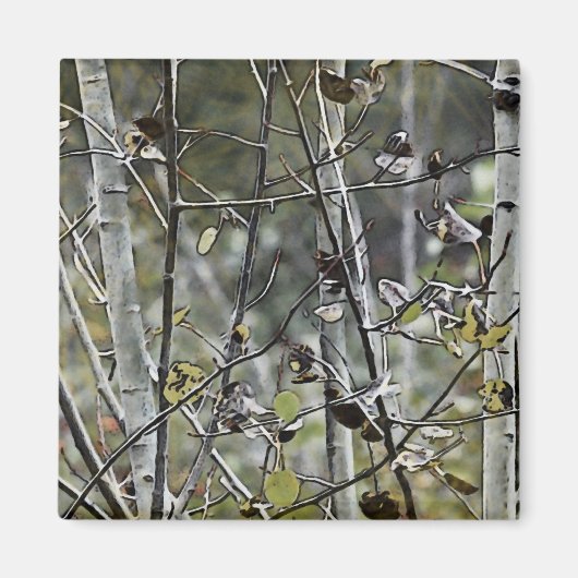 Aimant Forêt d'Aspen (Devant)