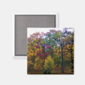 Aimant Forêt d'automne sombre (Recto/Verso)