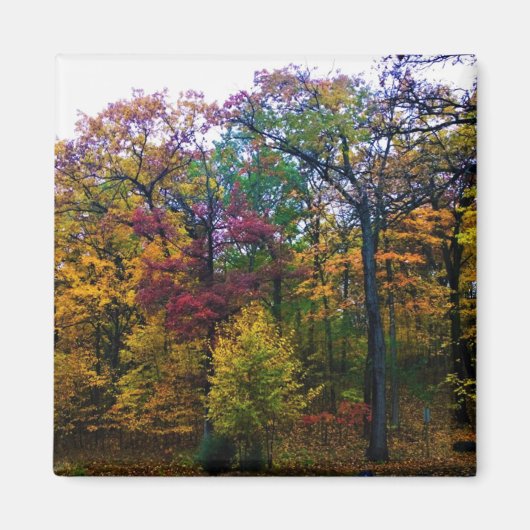 Aimant Forêt d'automne sombre (Devant)