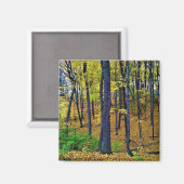 Aimant Forêt d'automne, West Bend, Wisconsin (Recto/Verso)