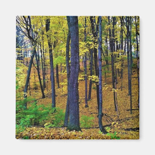 Aimant Forêt d'automne, West Bend, Wisconsin (Devant)