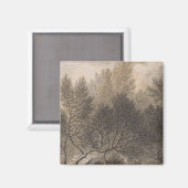 Aimant Forêt de la santé, Madère (Recto/Verso)