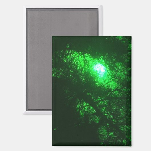 Aimant Forêt de minuit éffrayante (Recto/Verso)