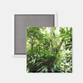 Aimant Forêt de pluie dominicaine I Nature verte tropical (Recto/Verso)