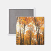 Aimant Forêt d'Orange (Recto/Verso)