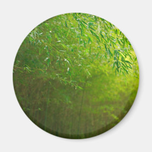 Aimant Forêt en bambou