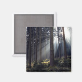 Aimant Forêt en Bavière (Recto/Verso)
