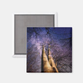 Aimant Forêt enchantée (Recto/Verso)