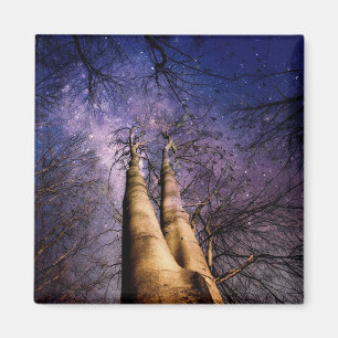 Aimant Forêt enchantée