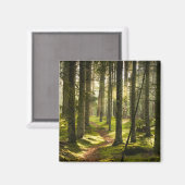 Aimant Forêt | Forêt boréale Suède (Recto/Verso)