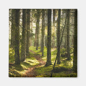 Aimant Forêt | Forêt boréale Suède (Devant)